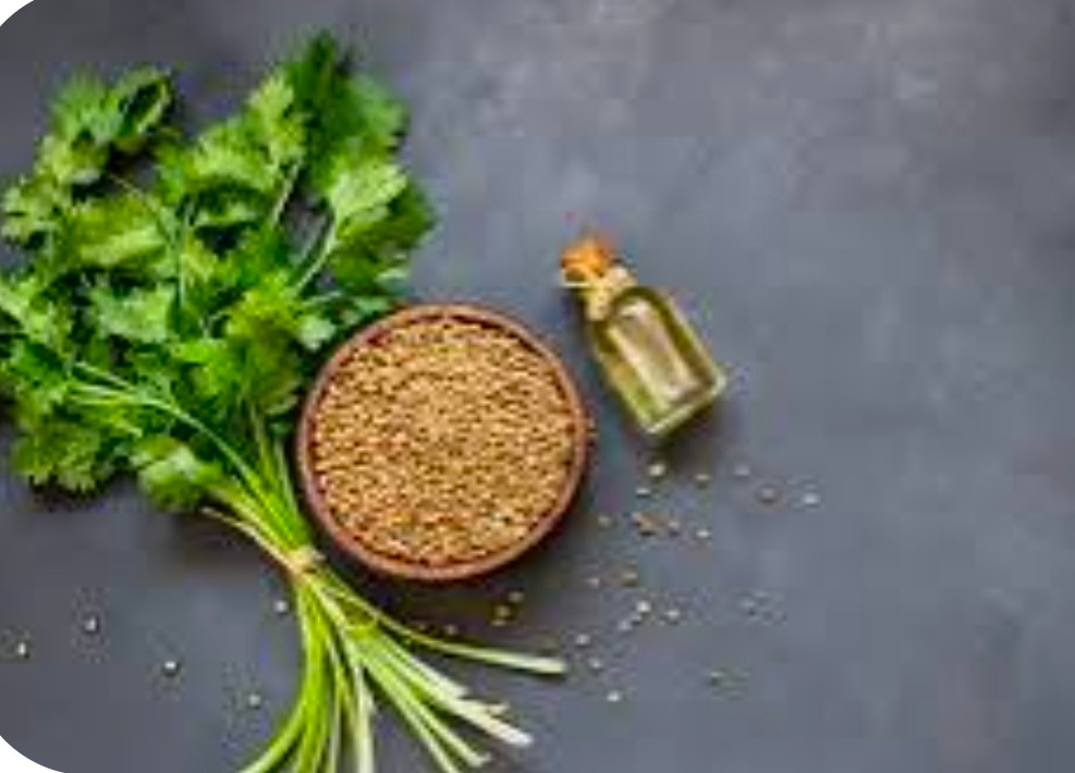 گشنیز ادویه طعم دهنده چاشنی خورشت