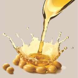 تصویر 1 از قیمت و فروش عمده روغن سویا تصفیه گالن + ارسال از کارخانه