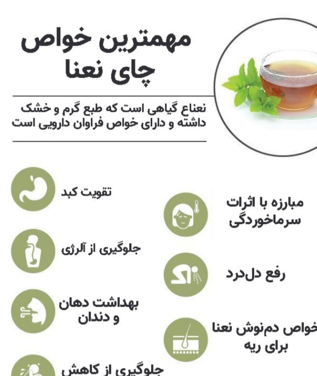 تصویر 1 از خرید نعناع خنک خوش‌طعم ضد نفخ