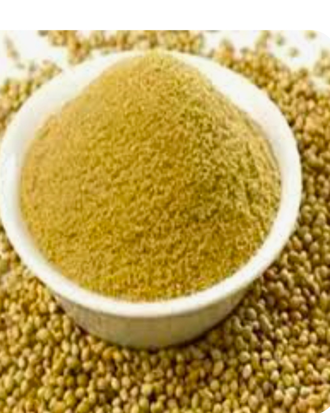 پودر تخم گشنیز .عمده مخصوص عطاریها