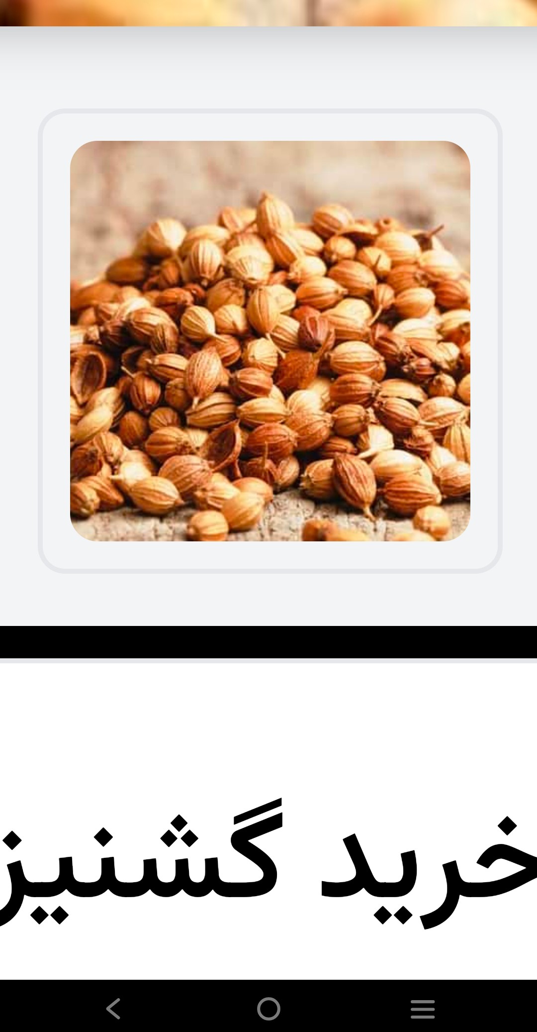 مصارف گشنیز در شیرینیجات