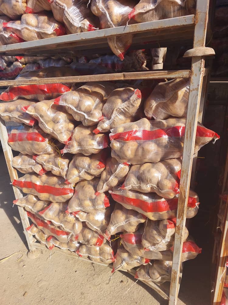 تصویر 2 از سیب زمینی رانومی اصفهان