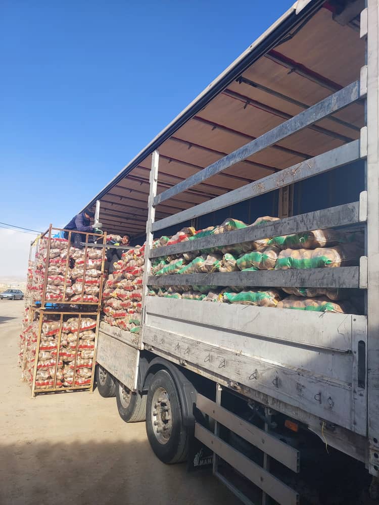 تصویر 3 از سیب زمینی رانومی اصفهان