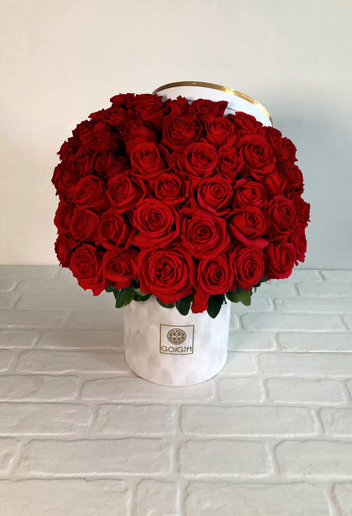 تصویر 2 از گل رز قرمز هلندی