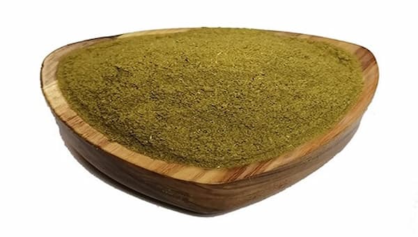 گیاه گزنه