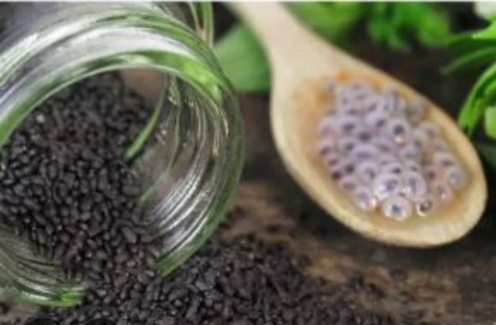 تصویر 5 از خرید بالنگوی شهری برای صنایع دارویی
