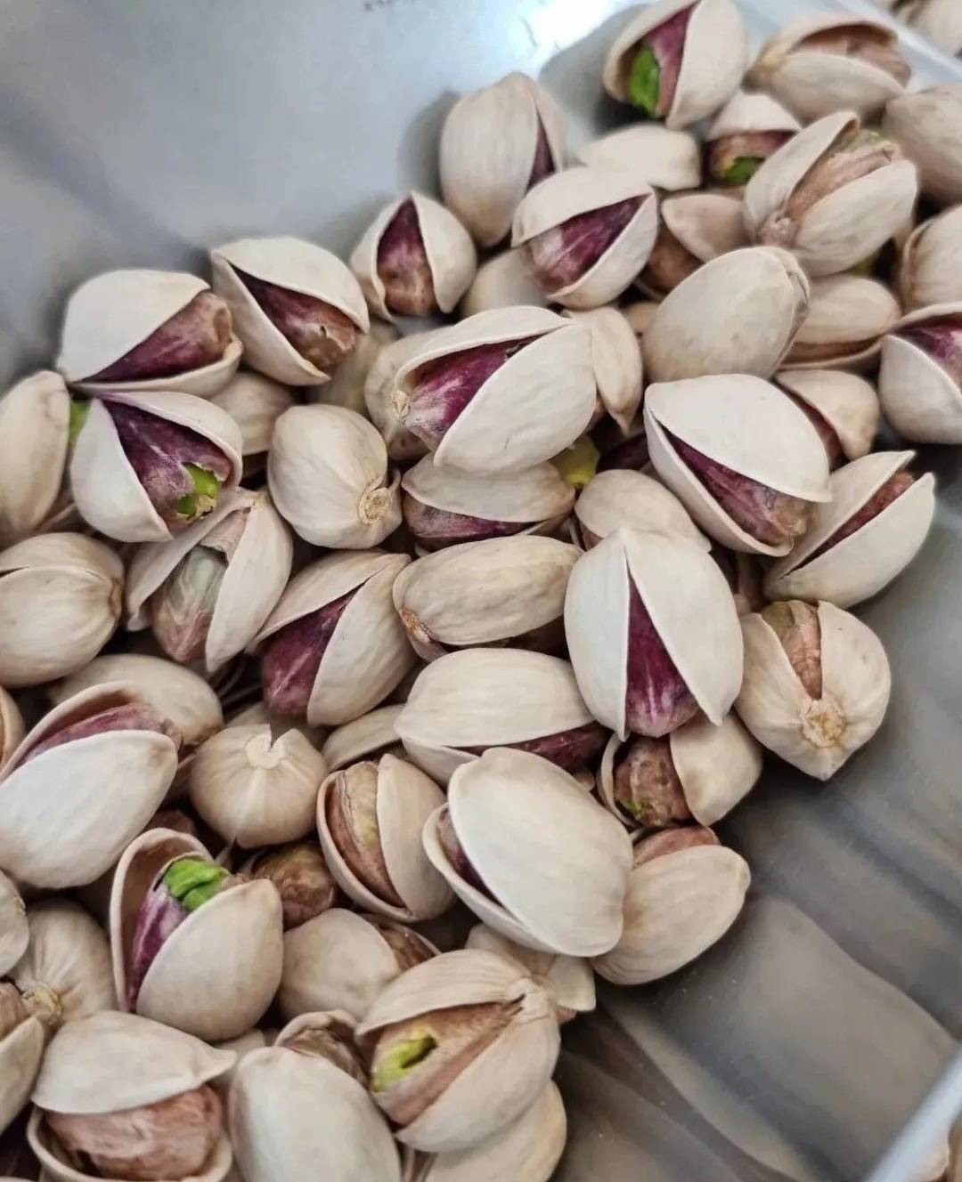 تصویر 2 از خرید پسته کله قوچی رفسنجان + قیمت فروش استثنایی