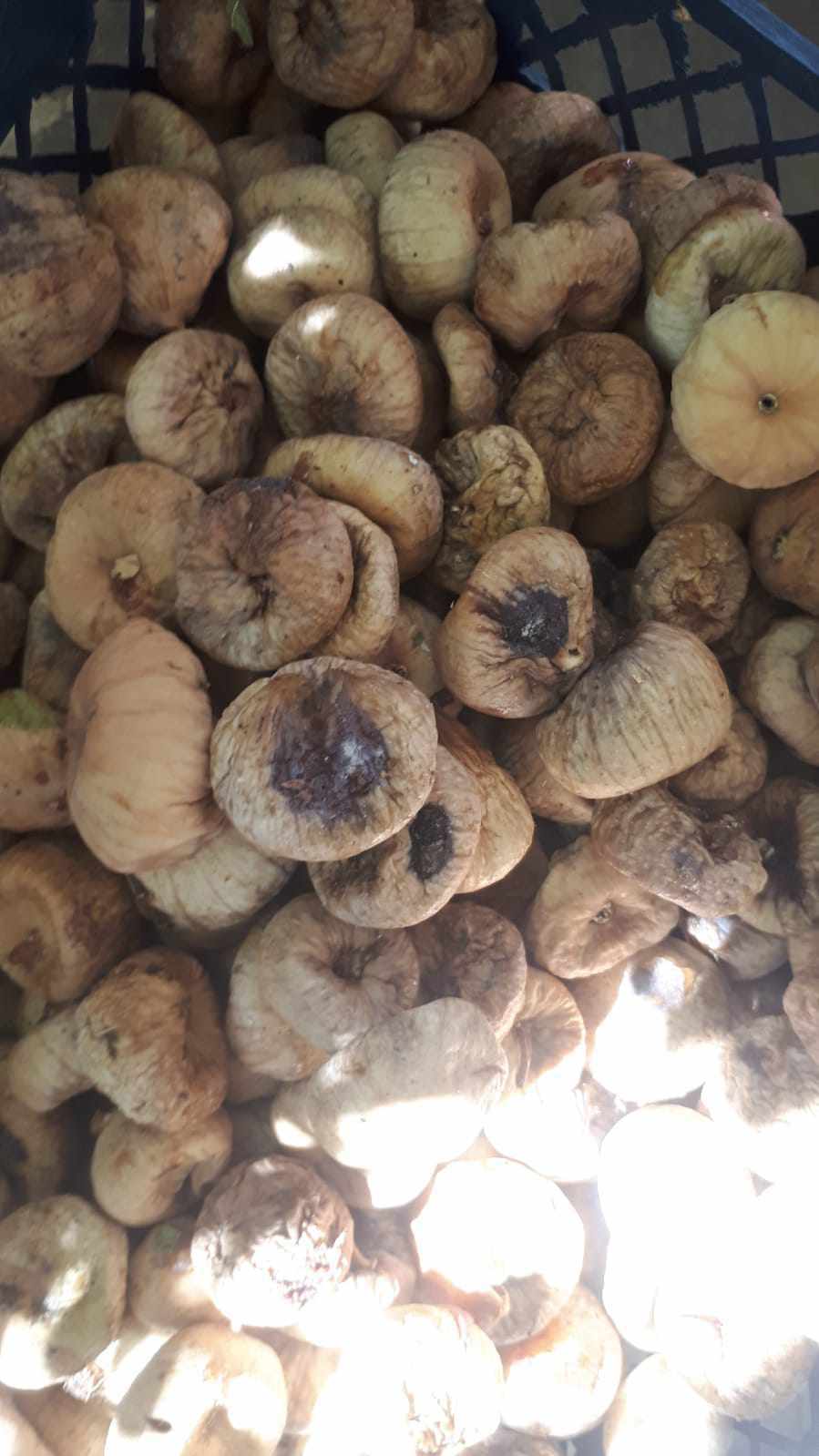 خرید و فروش انجیر خشک ضایعاتی + فروش مستقیم از تولیدکننده