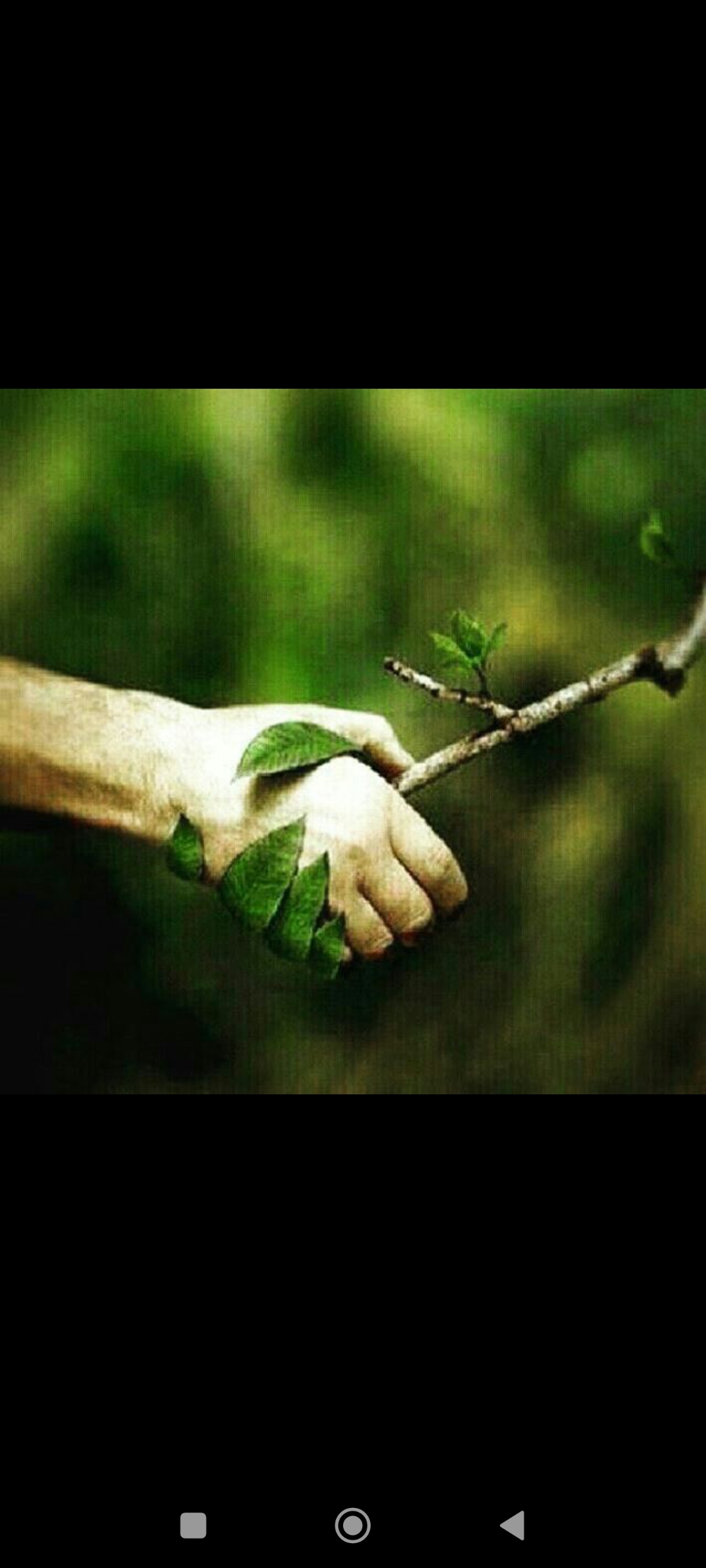 تصویر 1 از کود ارگانیک + قیمت
