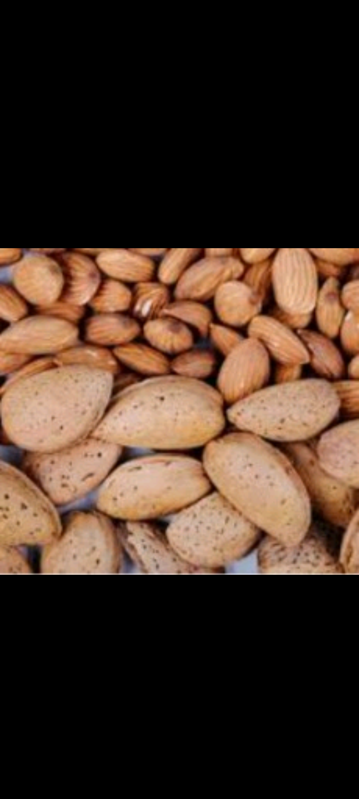 قیمت  خرید بادام سنگی عمده مناسب