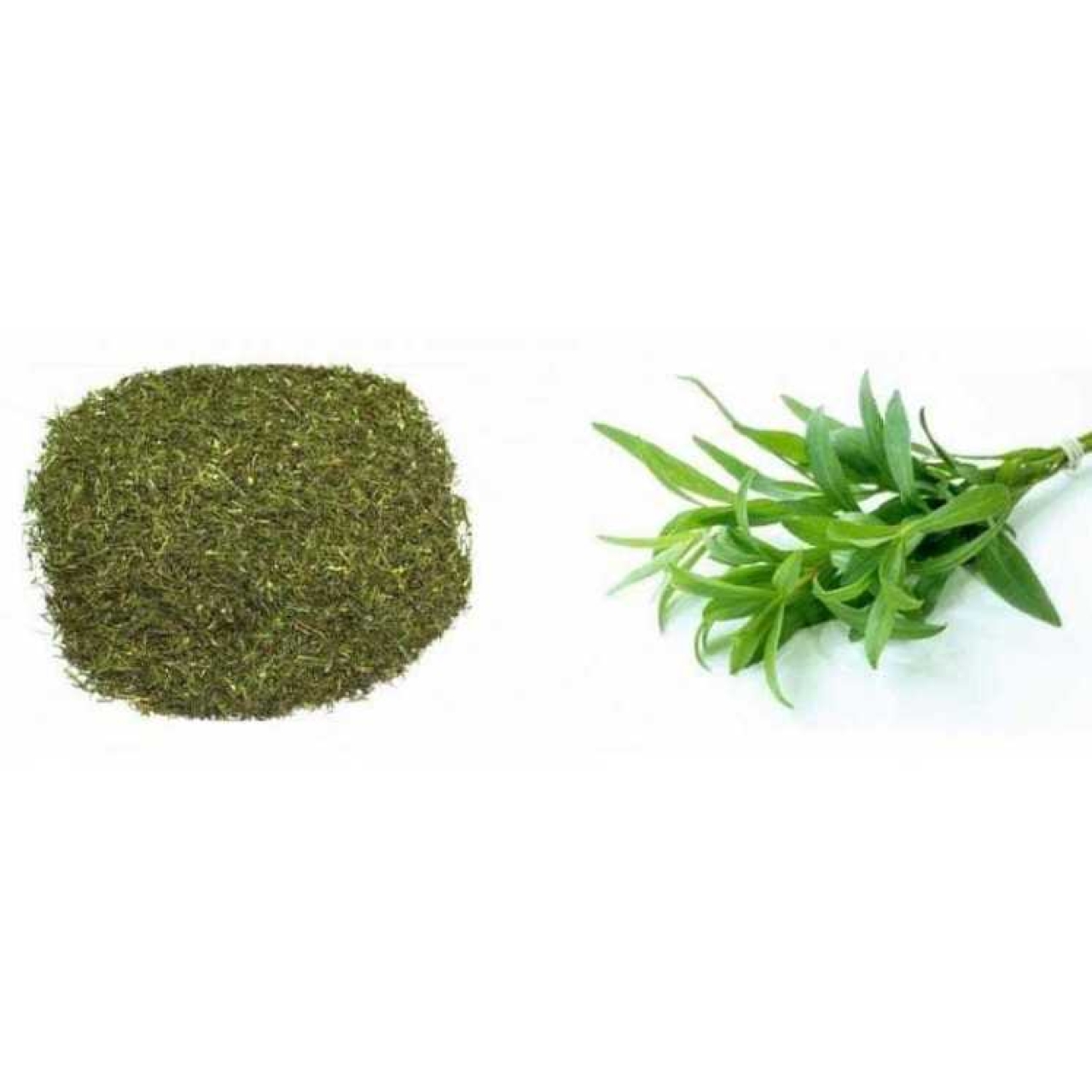 خرید ترخون خشک جنوب + فروش عمده
