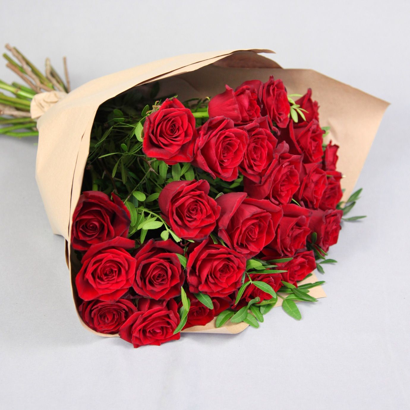 تصویر 3 از خرید گل سرخ چایی + قیمت فروش استثنایی