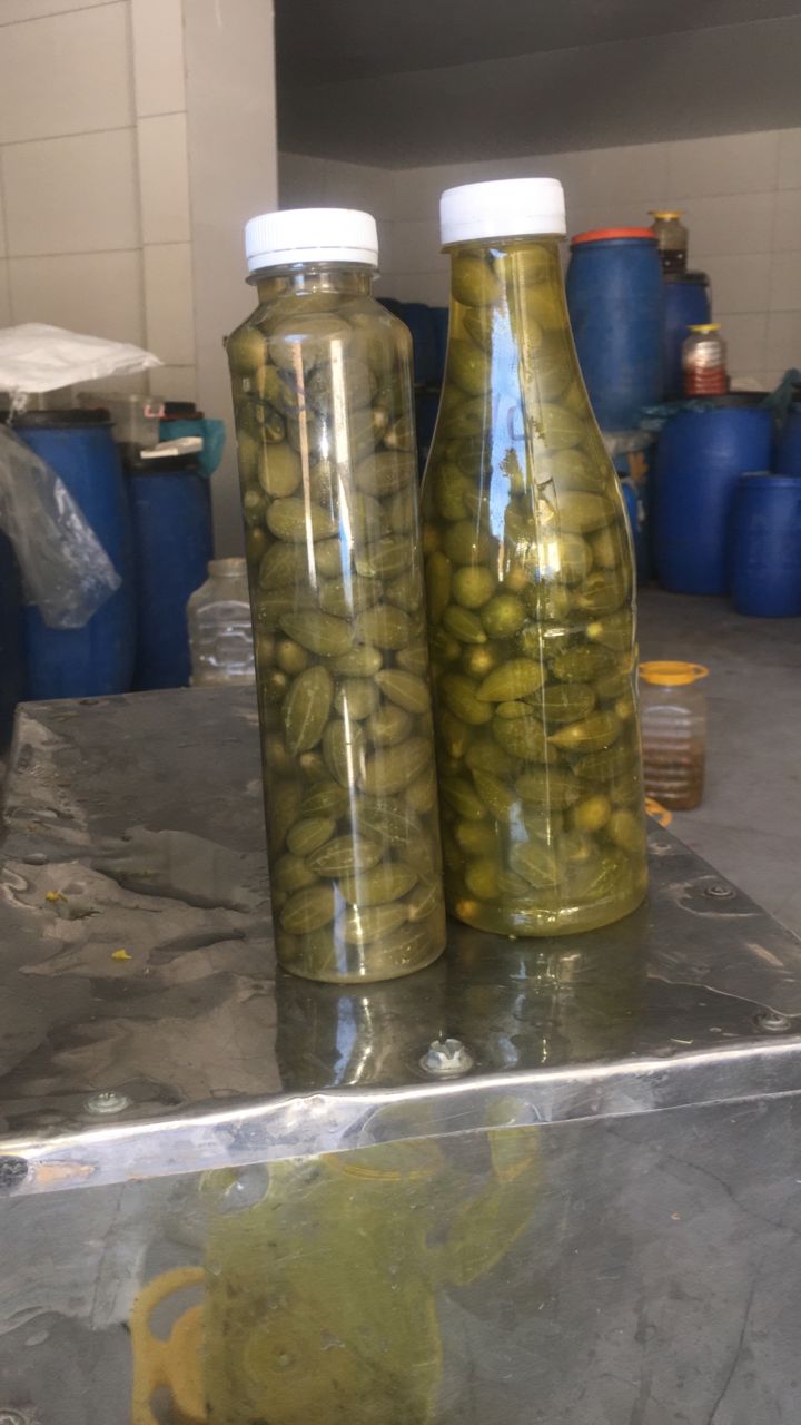 قیمت ترشی گلک