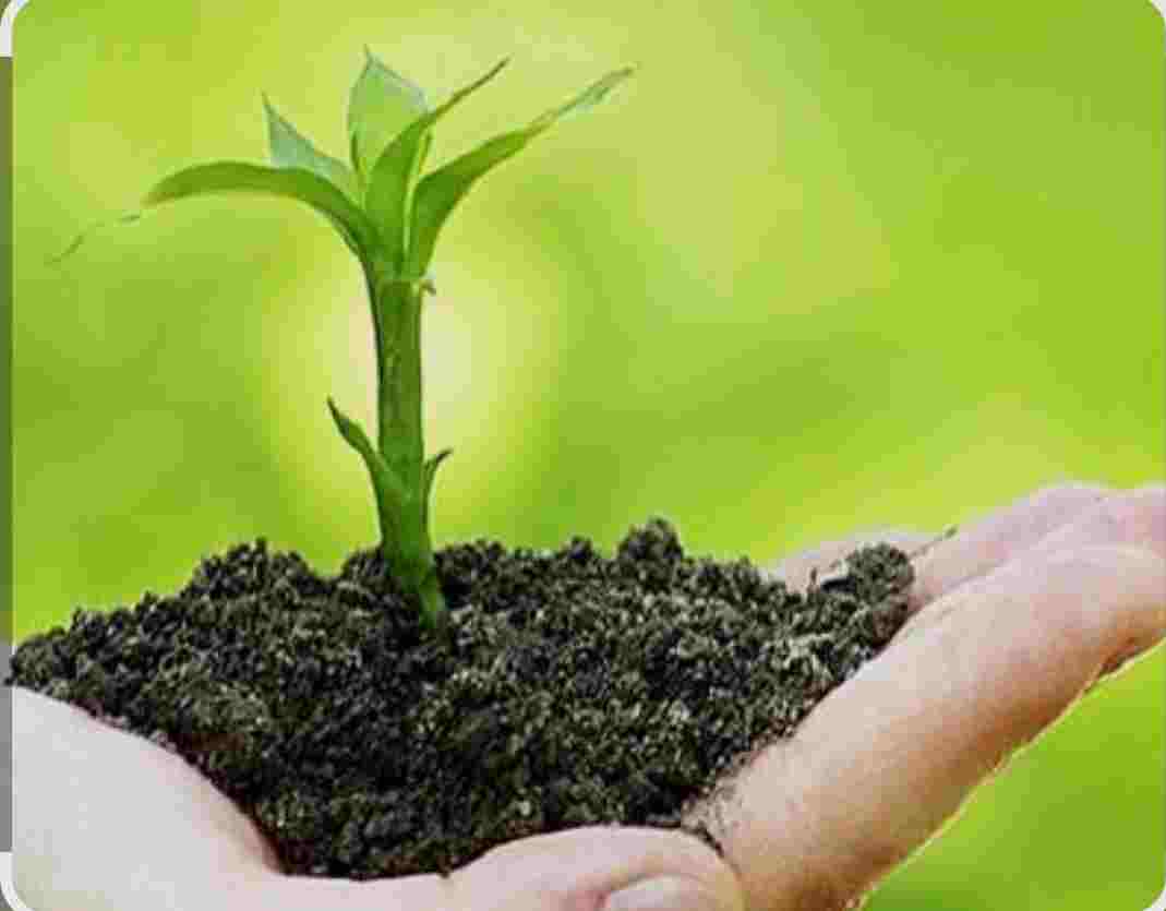 تصویر 2 از خرید ارزان کود مایع هیومیک اسید + قیمت مناسب