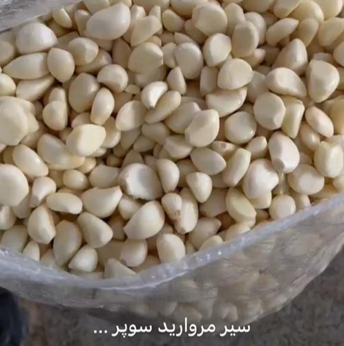 تصویر 3 از سیر حبه دانه درشت همدان