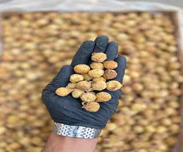 تصویر 1 از خرید و قیمت انجیر خشک ریز + فروش عمده