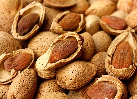 تصویر 1 از قیمت خرید بادام محلی بصرفه و با کیفیت