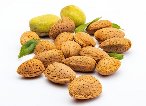 تصویر 1 از خرید بادام درختی شیرین با فروش استثنایی