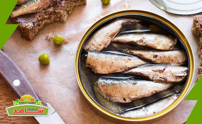 خرید کنسرو ماهی + قیمت مناسب