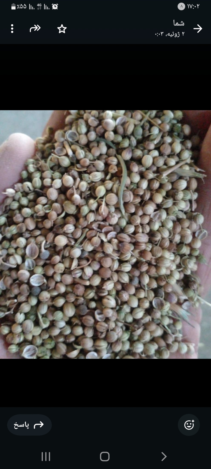 تصویر 5 از خرید آسان بذر گشنیز