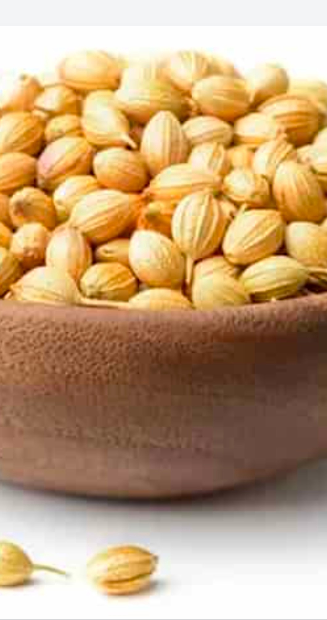 فروش گشنیز خشک شده با عطر و طعمی ماندگار