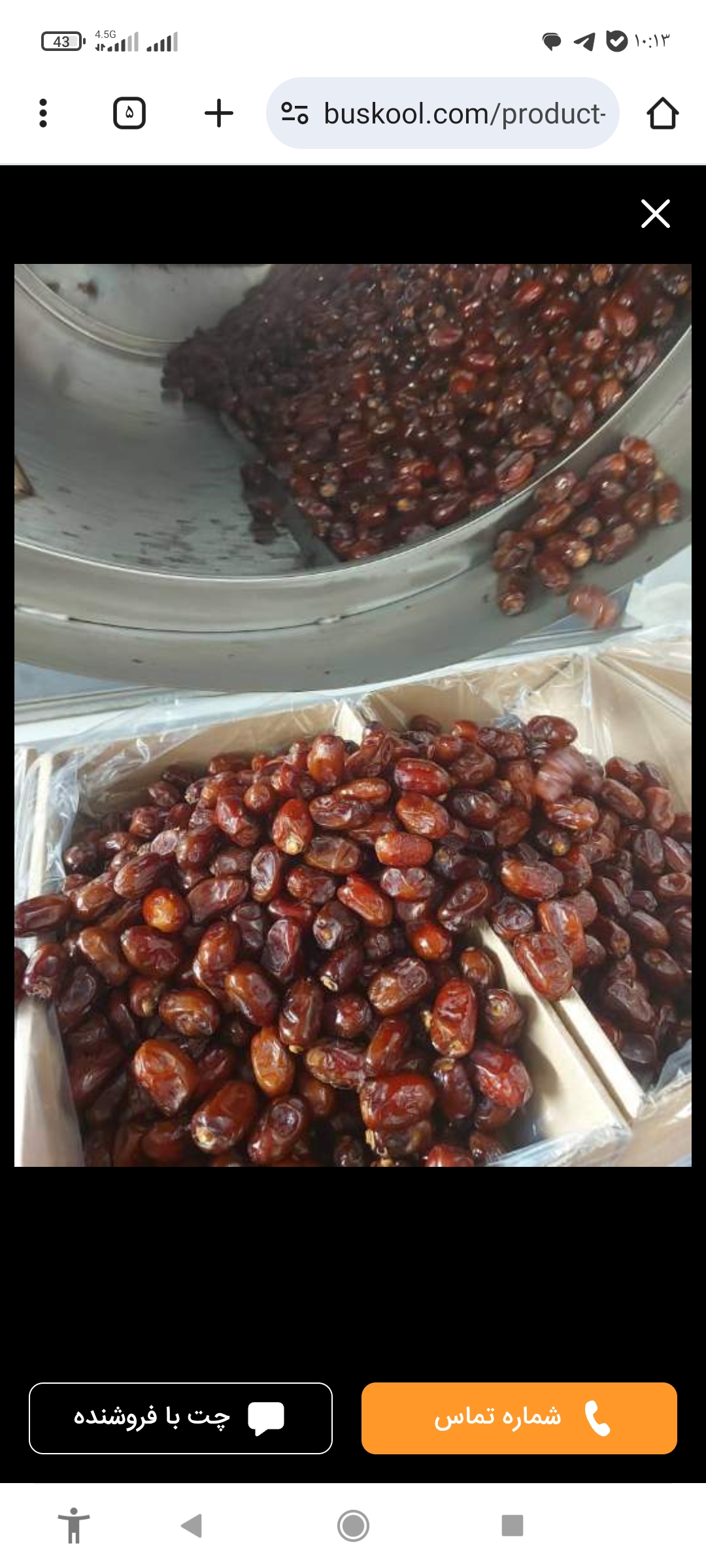 تصویر 1 از خرمای کلوته جیرفت