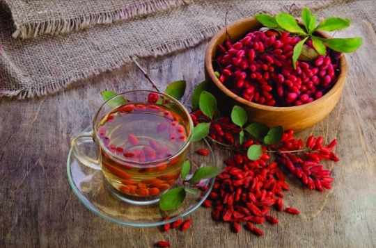 تصویر 1 از قیمت زرشک تازه