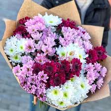 تصویر 1 از فروش صادراتی شاخه گل طبیعی داوودی تک گل درشت و سوپر