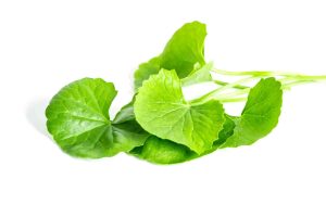 تصویر 1 از برهمی مرغوب + قیمت خرید