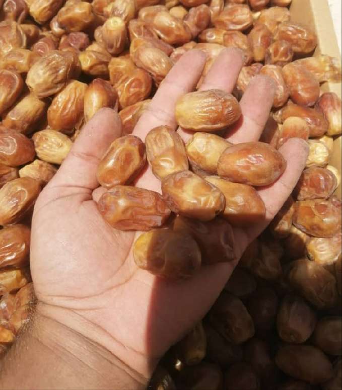 تصویر 3 از خرما زاهدی صادراتی