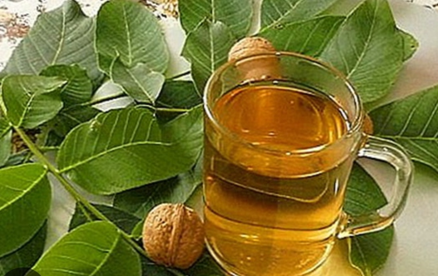 تصویر 3 از خرید و فروش عرق برگ گردو برای دیابت و قند خون