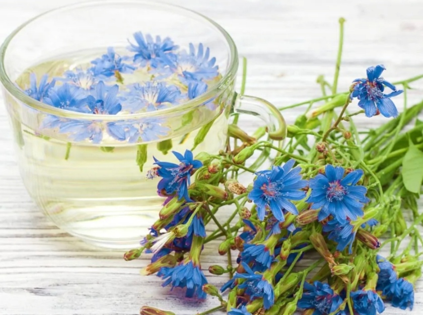 تصویر 4 از قیمت ارزان عرق کاسنی برای کبد