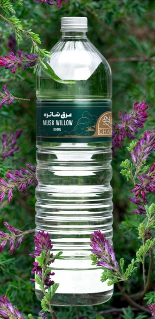 تصویر 3 از خرید و فروش عرق شاتره برای صفرا و کبد