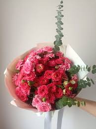 تصویر 2 از قیمت فروش عمده و خرید گل شاخه‌بریده میخک صادراتی