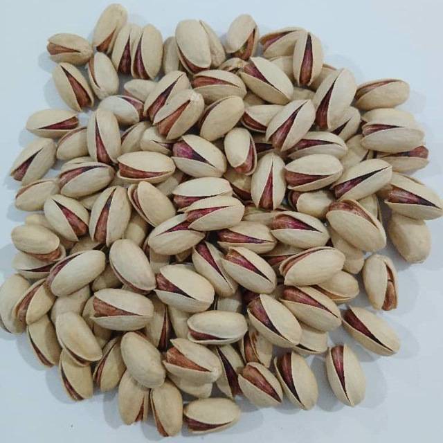 فروش پسته اکبری صادراتی