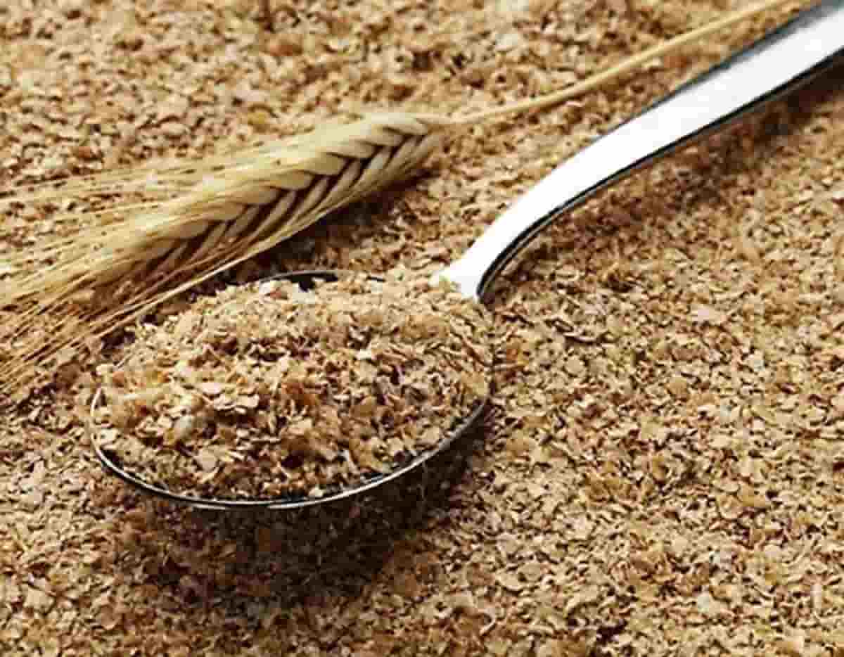 تصویر 4 از فروش سبوس گندم دامی