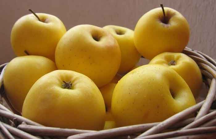 تصویر 4 از خرید سیب از باغدار اشنویه با فروش عمده