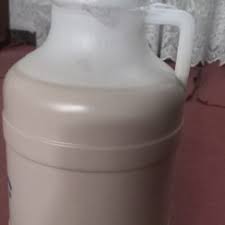 تصویر 2 از خرید خرما برحی
