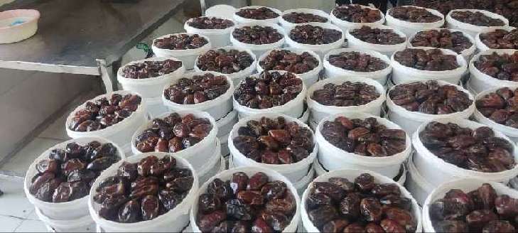 تصویر 5 از خریدخرما کبکاب صادراتی + قیمت باور نکردنی