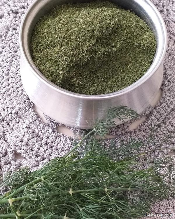تصویر 1 از خرید شوید خشک خانگی + فروش عمده
