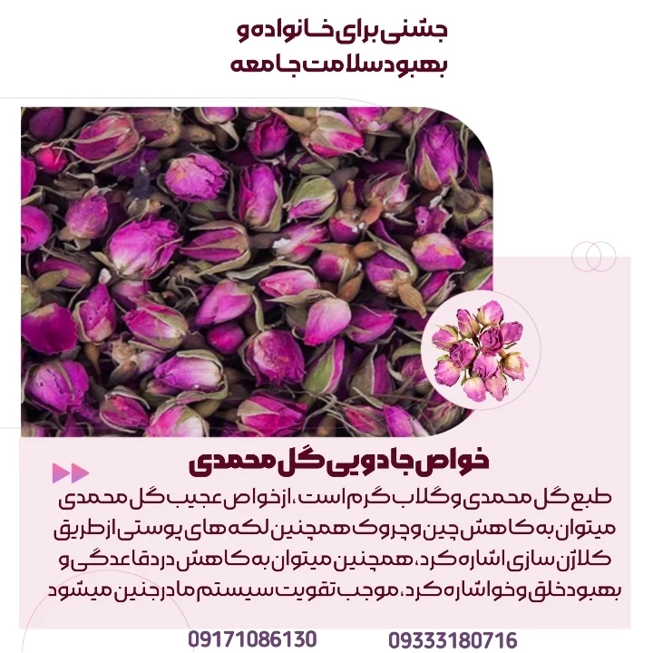 خرید و فروش غنچه گل محمدی استان فارس