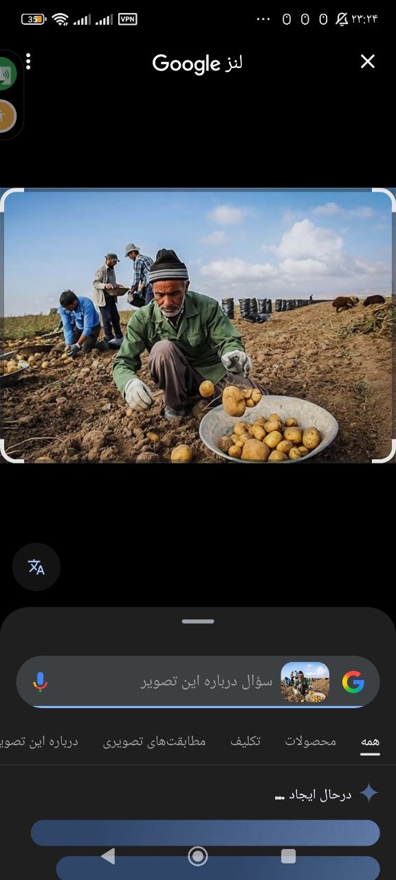 تصویر 1 از سیب زمینی عمده جلی