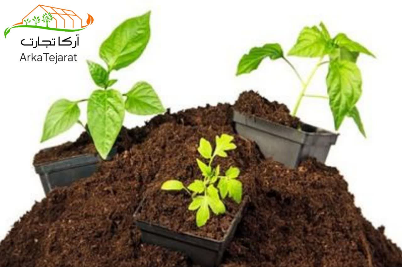 تصویر 4 از فروش کوکوپیت در اصفهان با قیمت رقابتی و ارزان