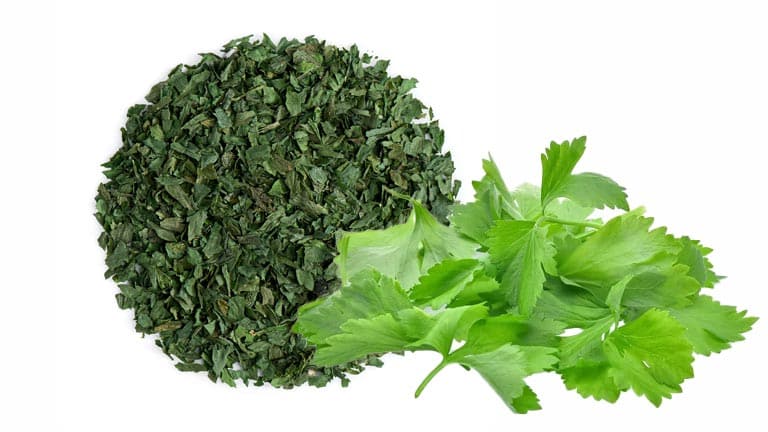 تصویر 5 از خرید گشنیز خشک خانگی
