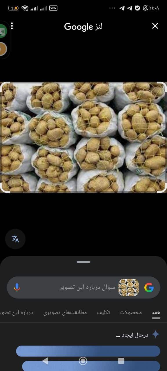 تصویر 3 از سیب زمینی عمده اسپریت