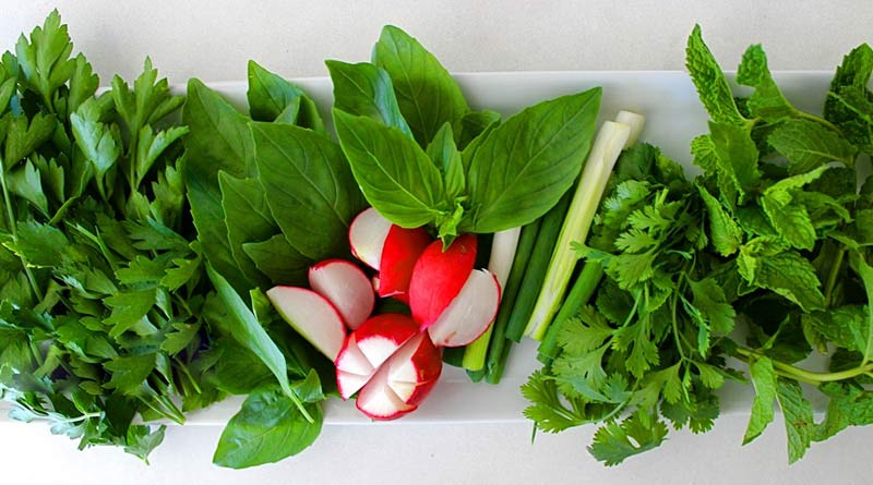 سبزیجات تر و تازه + فروش صادراتی