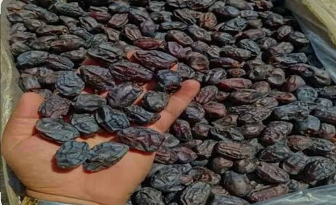تصویر 1 از قیمت خرید خرما کبکاب + فروش ویژه