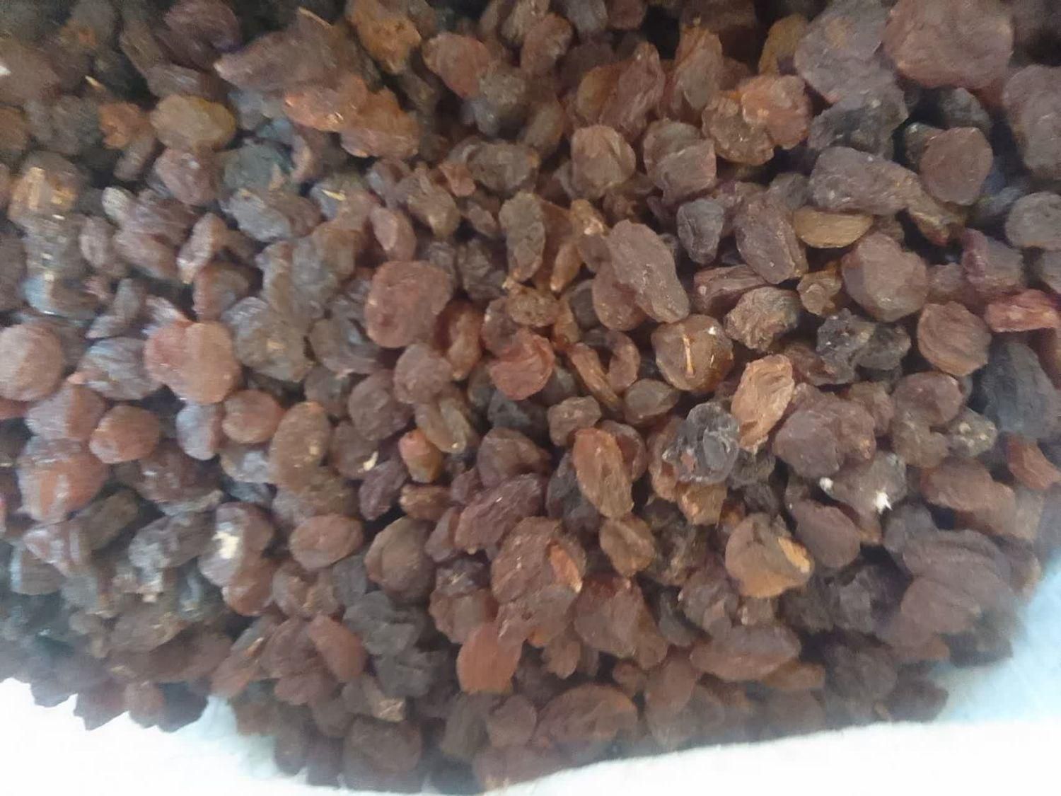 تصویر 1 از کشمش مخصوص + قیمت عمده