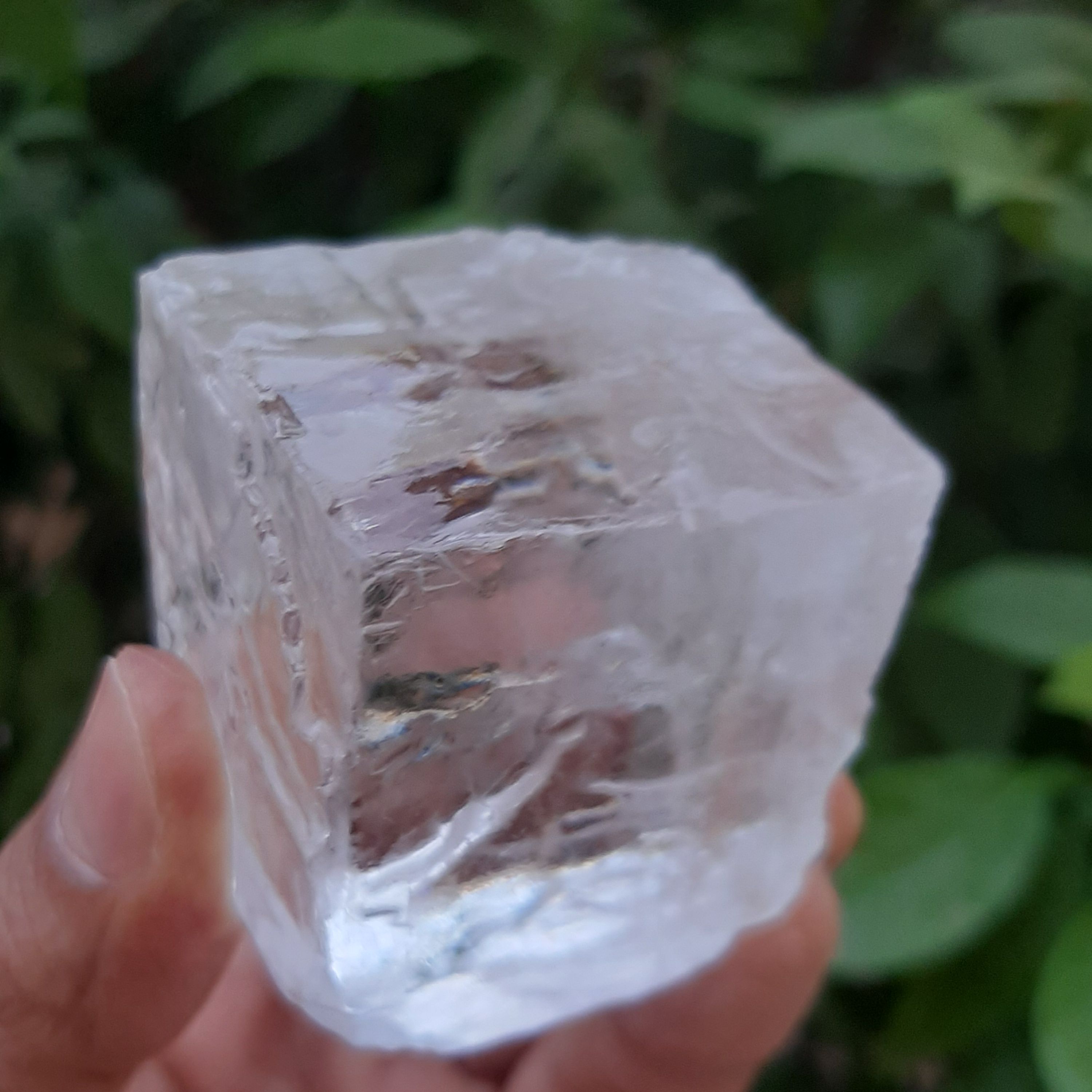 تصویر 2 از خرید دلنمک جهرم + قیمت فروش استثنایی