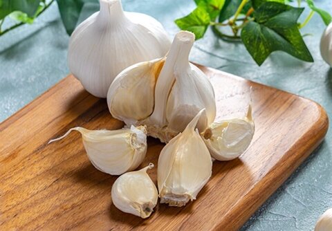 تصویر 4 از قیمت سیر درجه یک + فروش صادراتی